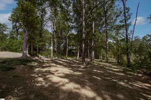 102 George Williams Dr, Easley, SC 29640 - Photo 40