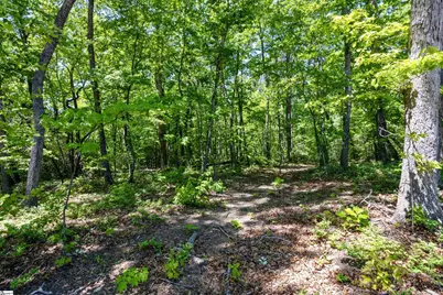 120 Chestnut Mountain Road, Travelers Rest, SC 29690 - Photo 10