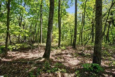 120 Chestnut Mountain Road, Travelers Rest, SC 29690 - Photo 12