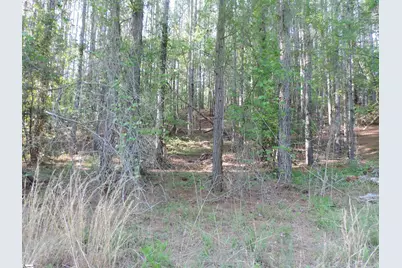 0 Hobbysville Road, Roebuck, SC 29376 - Photo 14