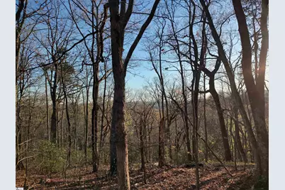 122 Glassy Falls Trail, Travelers Rest, SC 29690 - Photo 14