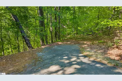 0 Goodwin Bridge Road, Travelers Rest, SC 29690 - Photo 16
