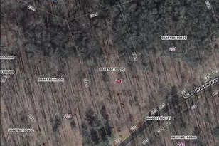 227 Snap Dragon Way, Landrum, SC 29356 - Photo 2