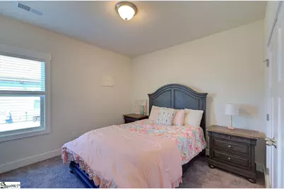 336 Blue Danube Drive, Simpsonville, SC 29681 - Photo 38