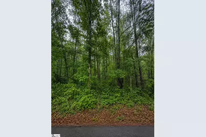 00 Valley Road #lot 1, Travelers Rest, SC 29690 - Photo 1