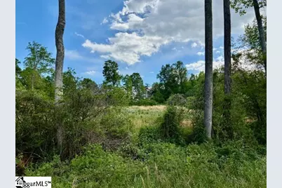411 Bradley Dill Road, Campobello, SC 29322 - Photo 6