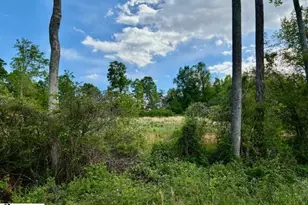 411 Bradley Dill Rd, Campobello, SC 29322 - Photo 6