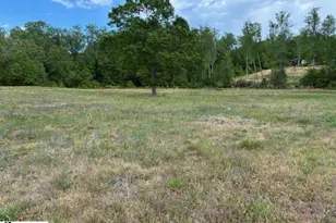 411 Bradley Dill Rd, Campobello, SC 29322 - Photo 12