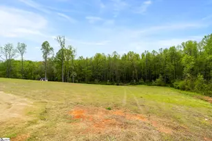 3820 A 414 Hwy, Landrum, SC 29356 - Photo 50