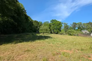 3936A Forrester Rd, Greer, SC 29651 - Photo 6