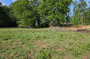 3936A Forrester Rd, Greer, SC 29651 - Photo 30