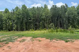4064 Hollybank Dr, Spartanburg, SC 29303 - Photo 4