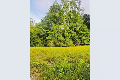0000 Thompson Road, Fountain Inn, SC 29644 - Photo 1