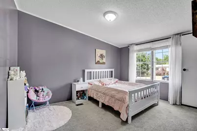 107 Floral Wood Way, Pelzer, SC 29669 - Photo 14