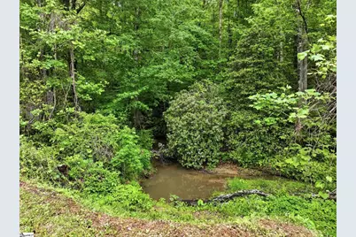 524 Mount Tabor Church Road, Pickens, SC 29671 - Photo 32