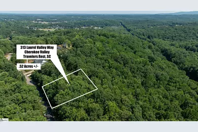 313 Laurel Valley Way, Travelers Rest, SC 29690 - Photo 4