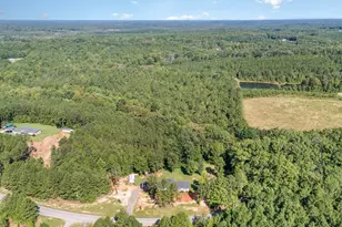 1669 Bolt Rd, Gray Court, SC 29645 - Photo 30
