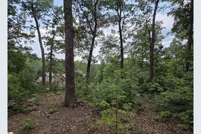 219 Luberon Lane, Travelers Rest, SC 29690 - Photo 6