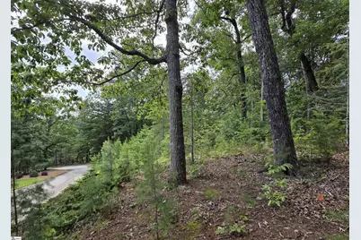219 Luberon Lane, Travelers Rest, SC 29690 - Photo 8