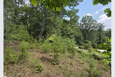 219 Luberon Lane, Travelers Rest, SC 29690 - Photo 14