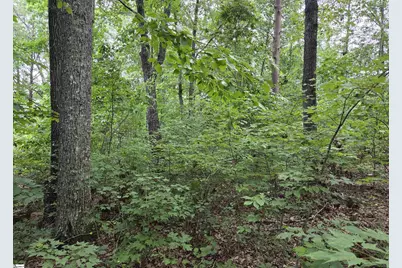 219 Luberon Lane, Travelers Rest, SC 29690 - Photo 10