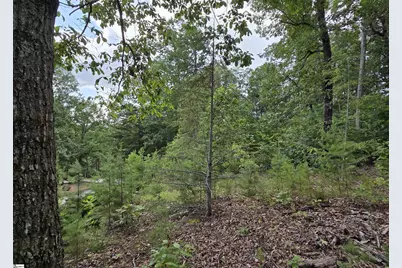 219 Luberon Lane, Travelers Rest, SC 29690 - Photo 4
