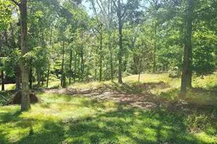 00 Memorial Dr Ext, Greer, SC 29651 - Photo 1