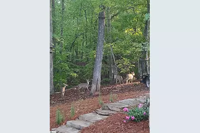 123 Summit Pine, Sunset, SC 29685 - Photo 6