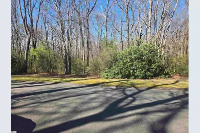319 Cliff Ridge Drive, Cleveland, SC 29635 - Photo 2