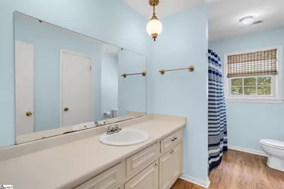 10 Sylvatus Court, Greenville, SC 29617 - Photo 26