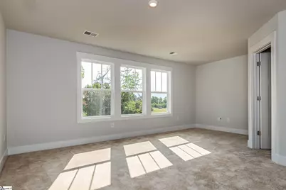 20 Meteora Way, Greenville, SC 29609 - Photo 12