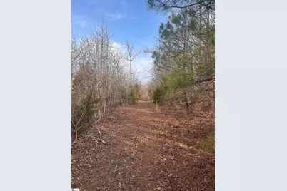 0 Hemlock Dr Drive, Clinton, SC 29325 - Photo 16