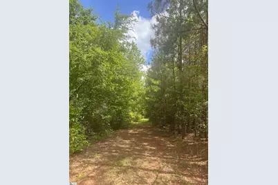 0 Hemlock Dr Drive, Clinton, SC 29325 - Photo 4