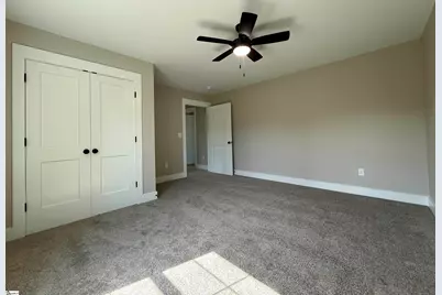 3 Lillians Lane, Greer, SC 29651 - Photo 34