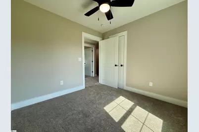 3 Lillians Lane, Greer, SC 29651 - Photo 24