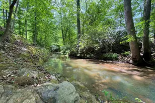 164 Creekside Dr, Pickens, SC 29671 - Photo 4