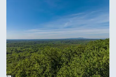 611 Packs Mountain Ridge Road, Taylors, SC 29687 - Photo 2