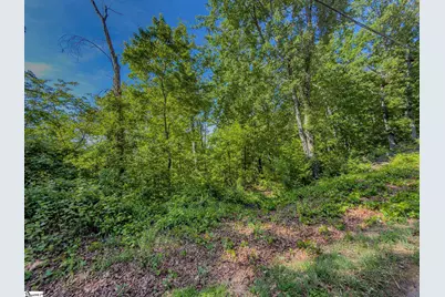 611 Packs Mountain Ridge Road, Taylors, SC 29687 - Photo 16
