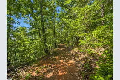 611 Packs Mountain Ridge Road, Taylors, SC 29687 - Photo 16