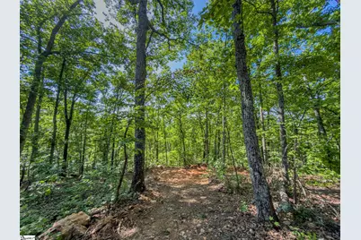 611 Packs Mountain Ridge Road, Taylors, SC 29687 - Photo 22