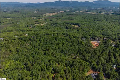 611 Packs Mountain Ridge Road, Taylors, SC 29687 - Photo 10