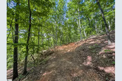 611 Packs Mountain Ridge Road, Taylors, SC 29687 - Photo 20