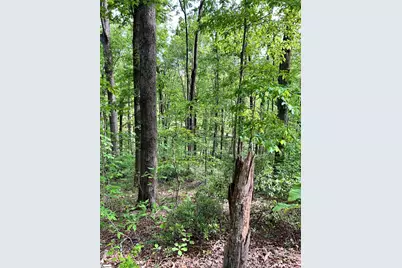 [Address not provided], Travelers Rest, SC 29690 - Photo 12