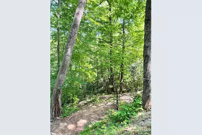 [Address not provided], Travelers Rest, SC 29690 - Photo 4