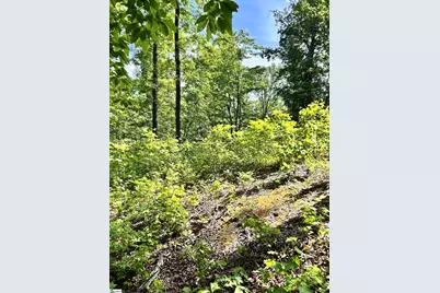 [Address not provided], Travelers Rest, SC 29690 - Photo 8
