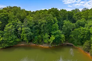 141 Lone Eagle Way, Iva, SC 29655 - Photo 6