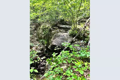 [Address not provided], Landrum, SC 29356 - Photo 10