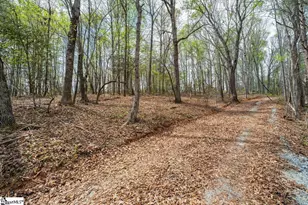 187 Meadow Brook Ln, Pickens, SC 29671 - Photo 38