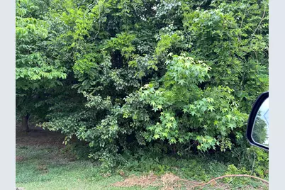 402 Gordon Street, Greenville, SC 29611 - Photo 6