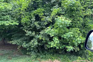 402 Gordon St, Greenville, SC 29611 - Photo 6